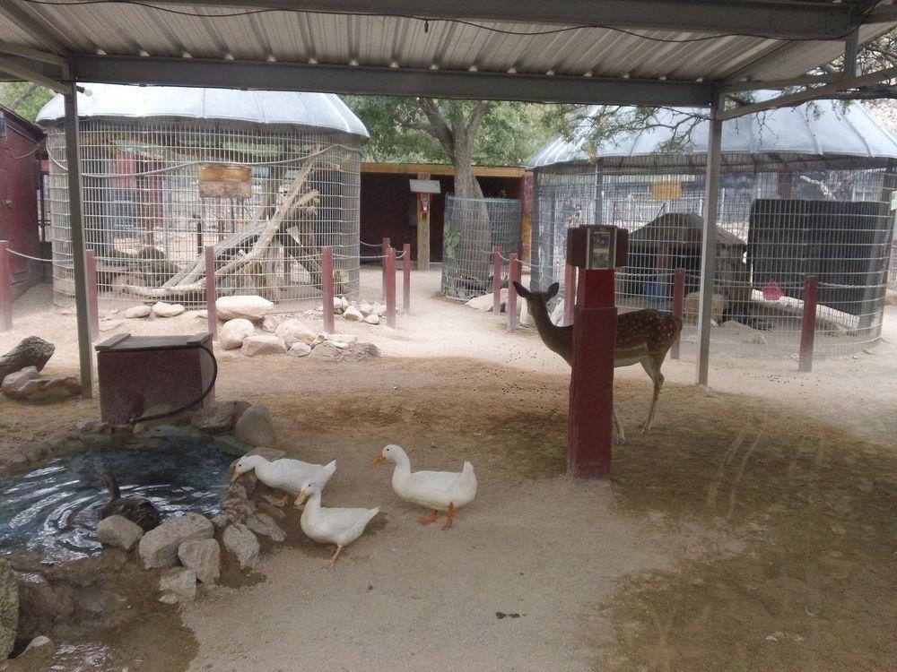 Bonnie Springs Ranch Motel Blue Diamond Εξωτερικό φωτογραφία