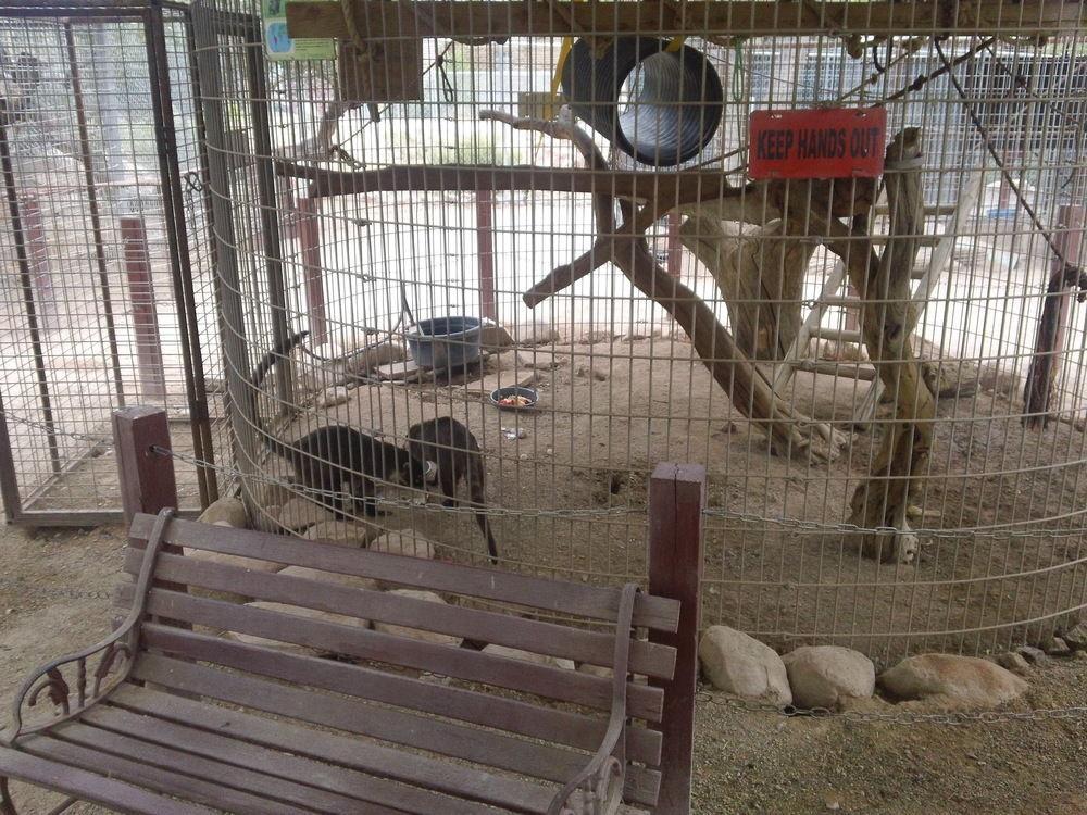 Bonnie Springs Ranch Motel Blue Diamond Εξωτερικό φωτογραφία