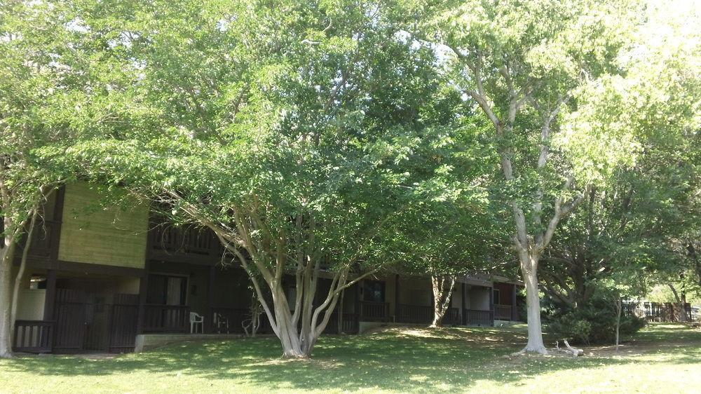 Bonnie Springs Ranch Motel Blue Diamond Εξωτερικό φωτογραφία