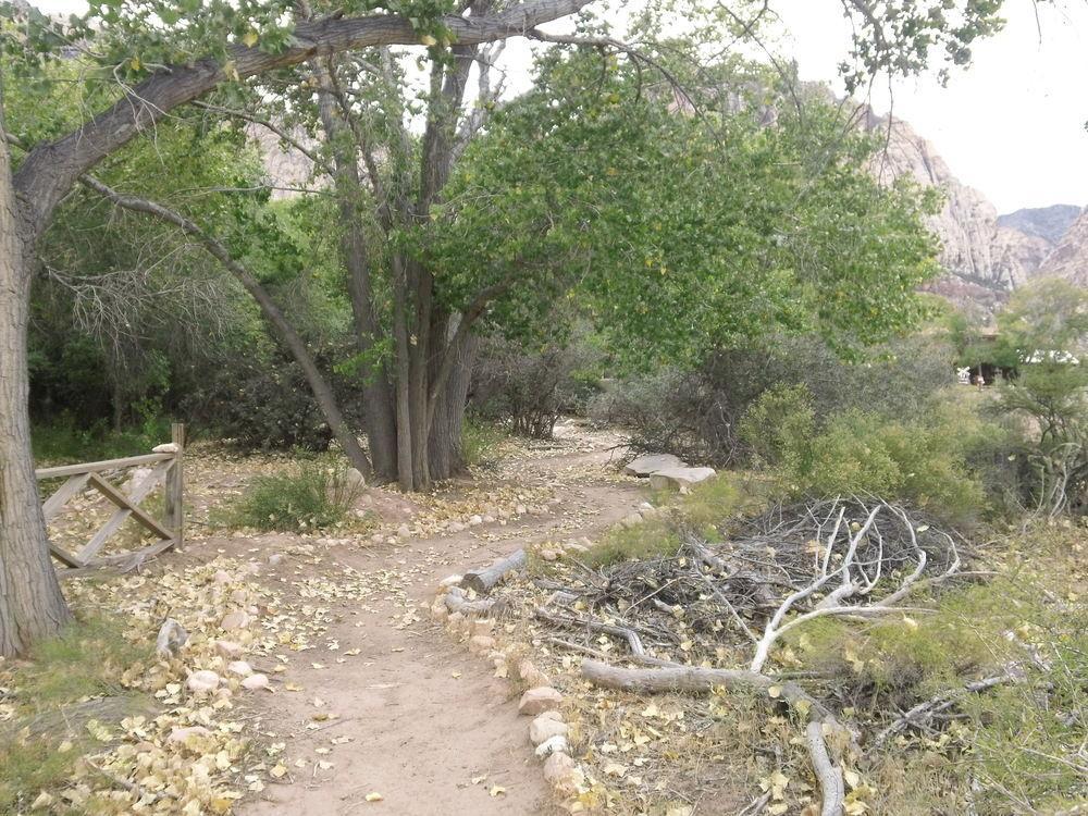 Bonnie Springs Ranch Motel Blue Diamond Εξωτερικό φωτογραφία
