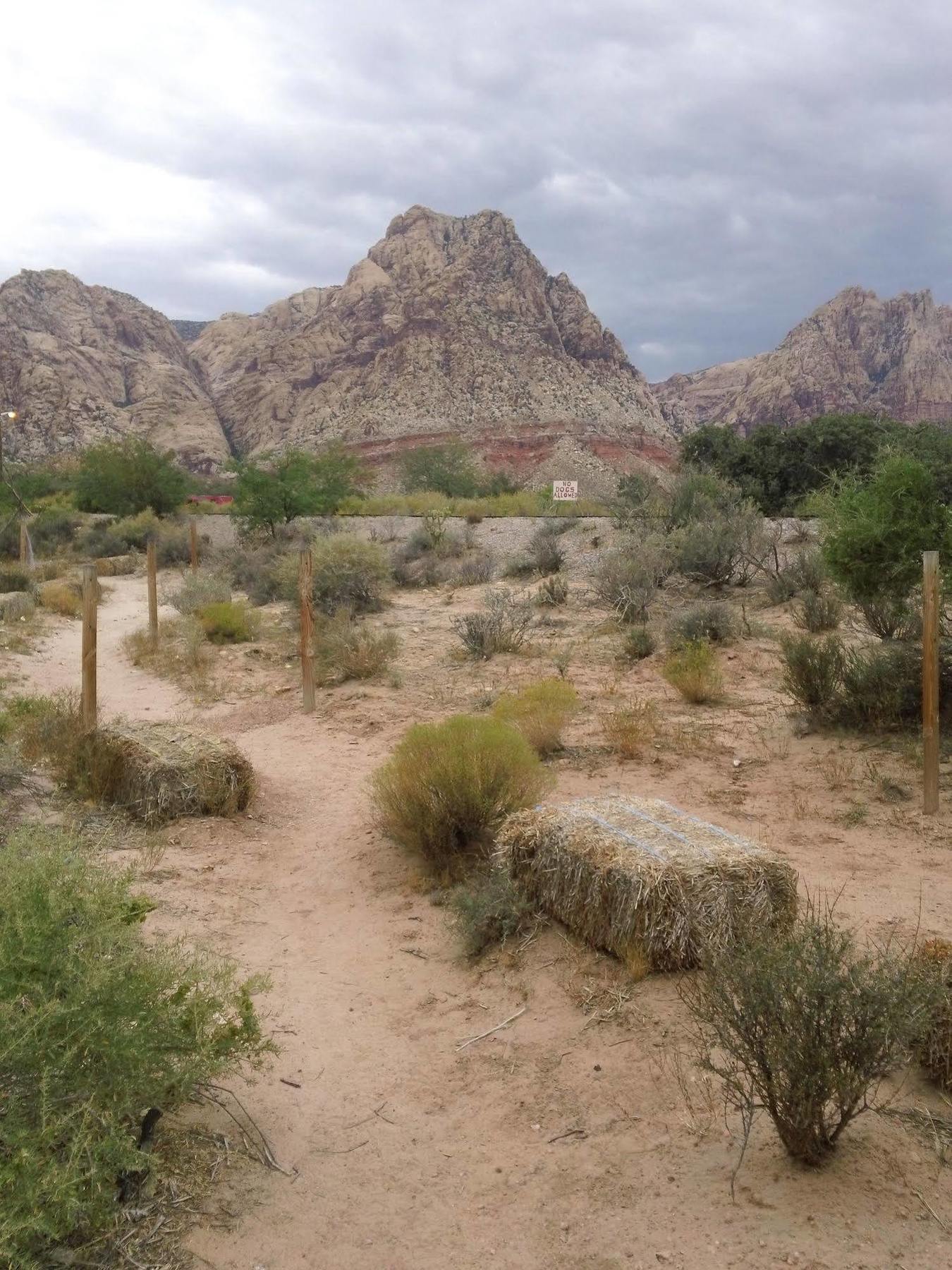 Bonnie Springs Ranch Motel Blue Diamond Εξωτερικό φωτογραφία
